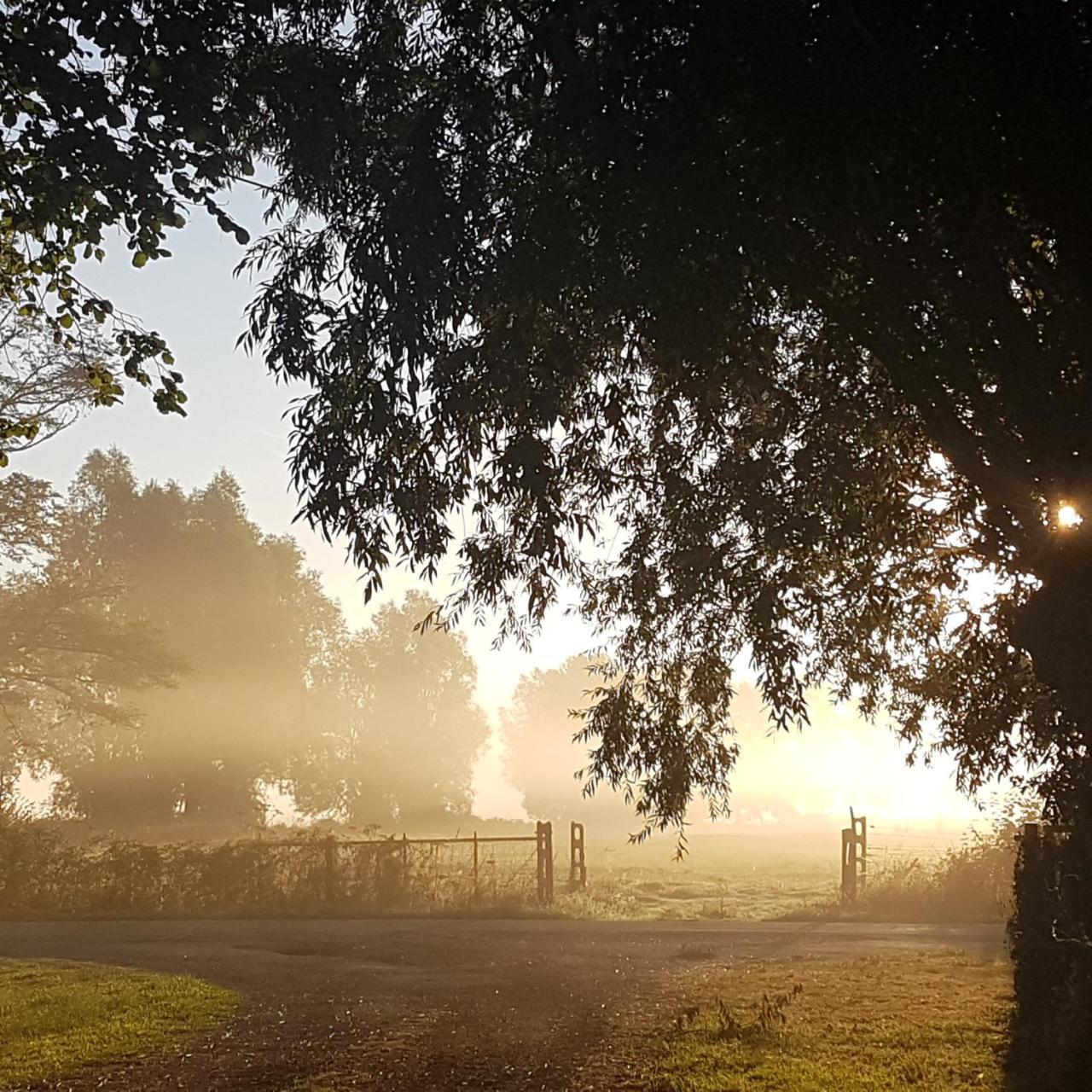 Fonsegre Chambres D'Hotes Magny-Cours Buitenkant foto